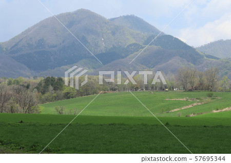 岡山縣蒜山高原 57695344