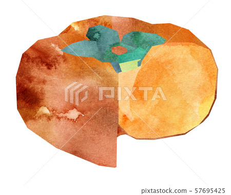 Shaved cross section, no seed Shaved cross section, no seed 57695425