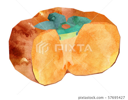 Oyster cross section large, no seed 57695427
