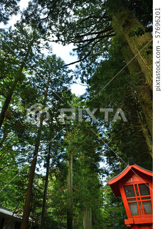 城市景觀夏天箱根 57696201