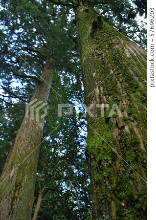 City view summer Hakone 57696203