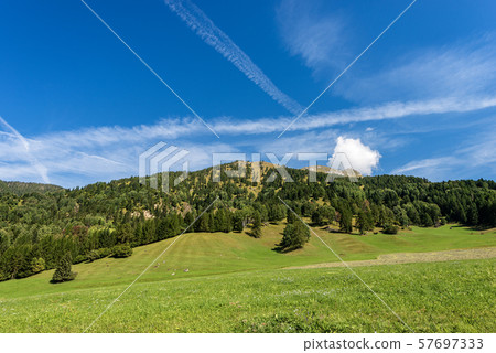 Meadows and woods in mountains - Val di Fiemme Trentino Italy 57697333