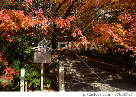 Autumn leaves of Ryoanji Autumn leaves of Ryoanji 57698787