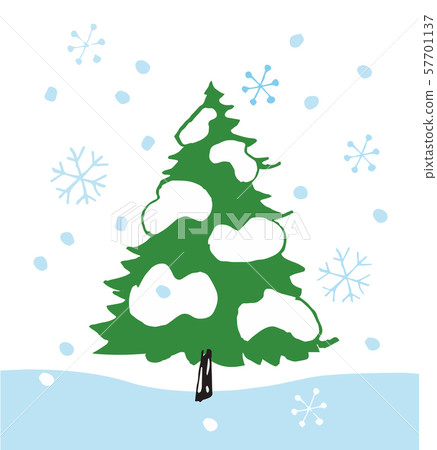 Fir tree and snow 57701137