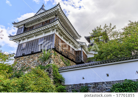 Fukuchiyama Castle　 57701855