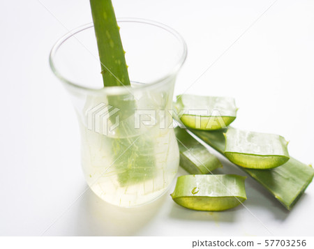aloe vera star cactus slide and vera gel Isolated on a white background aloe vera star cactus slide and vera gel Isolated on a white background 57703256