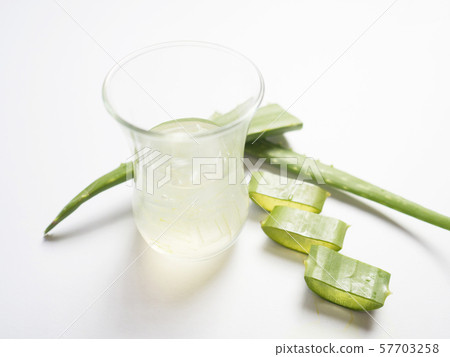 aloe vera star cactus slide and vera gel Isolated on a white background aloe vera star cactus slide and vera gel Isolated on a white background 57703258