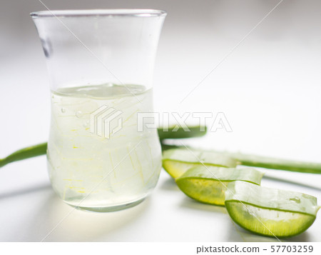 aloe vera star cactus slide and vera gel Isolated on a white background aloe vera star cactus slide and vera gel Isolated on a white background 57703259