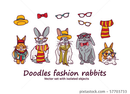 Doodles fashion rabbits pets animals isolated objects 57703733