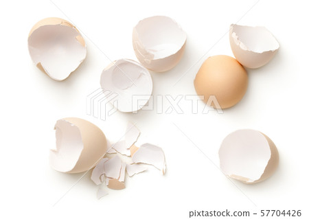 Egg Shells Isolated On White Background Egg Shells Isolated On White Background 57704426