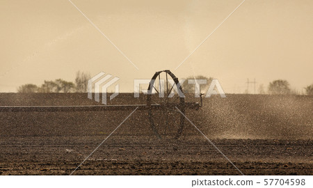 Cultivated field watering in early spring Cultivated field watering in early spring 57704598