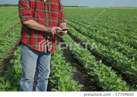 Agricultural scene, farmer in soybean field with Agricultural scene, farmer in soybean field with 57704600