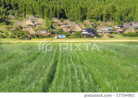 Miyama Seki no Sato 57704901