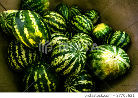Striped watermelon pile background Striped watermelon pile background 57705621