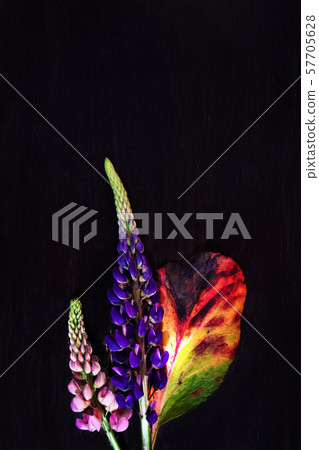 Blooming summer flowers closeup background 57705628