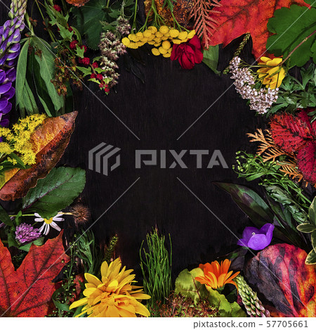 Autumn composition with copyspace 57705661