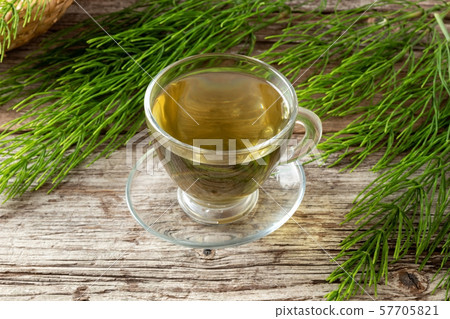 A cup of herbal tea with fresh horsetail plant A cup of herbal tea with fresh horsetail plant 57705821