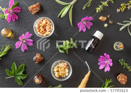 Selection of essential oils with frankincense, benzoin, mallow and other herbs 57705823