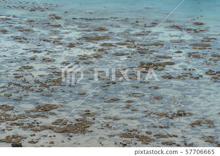 reef at Khao Major beside Samaesan pier 57706665