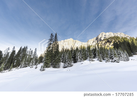 Winter landscape with snowy alps and forest. Winter landscape with snowy alps and forest. 57707285