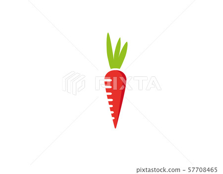 Carrot Ebb a vegetable for logo design Vector illustration on white background 57708465