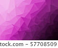 Multicolor polygonal illustration, which consist 57708509