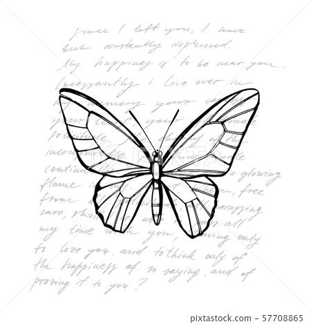 Butterflies silhouettes. Butterfly icons isolated on white background. Graphic illustration Butterflies silhouettes. Butterfly icons isolated on white background. Graphic illustration 57708865