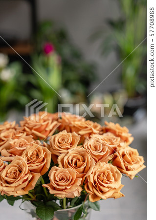 Caramel color, tofi roses in a glass vase. Beautiful rose flower for catalog or online store. Floral Caramel color, tofi roses in a glass vase. Beautiful rose flower for catalog or online store. Floral 57708988