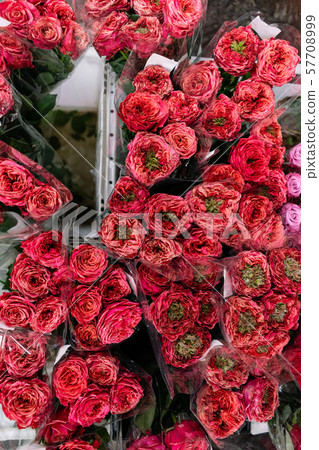Warehouse refrigerator, Wholesale flowers for flower shops. Red roses in a plastic container or Warehouse refrigerator, Wholesale flowers for flower shops. Red roses in a plastic container or 57708999