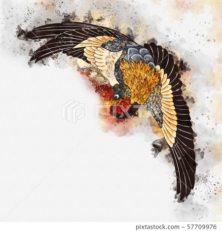 浮世繪野雞,第4部分,水彩畫 浮世繪野雞,第4部分,水彩畫 57709976