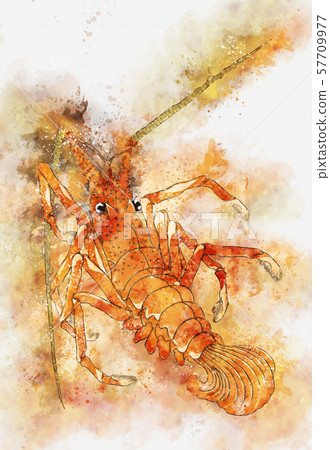 Ukiyoe shrimp part 4 watercolor Ukiyoe shrimp part 4 watercolor 57709977