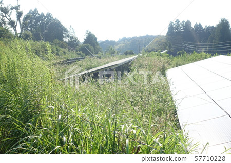 Solar power plant weeds 57710228