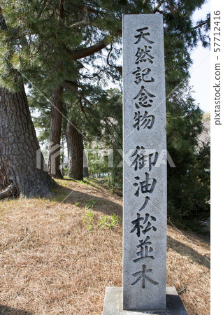 Oyuno pine row of stone pillars and pine 57712416