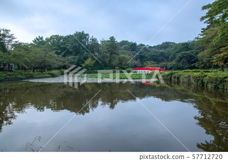 Iwatsuki Castle Park Waterside Yatsuhashi埼玉市 Iwatsuki Castle Park Waterside Yatsuhashi埼玉市 57712720