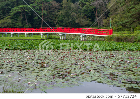 Iwatsuki Castle Park Waterside Yatsuhashi Saitama City 57712724