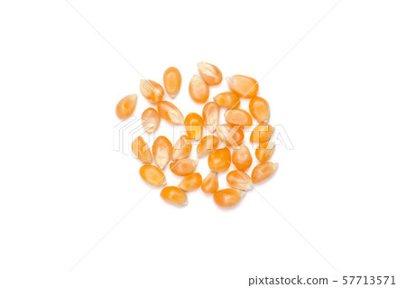 Dry corn kernels on white table with white space 57713571