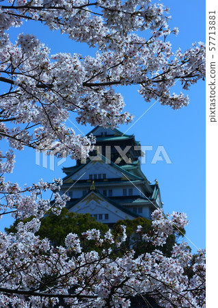 大阪城和櫻花 57713881
