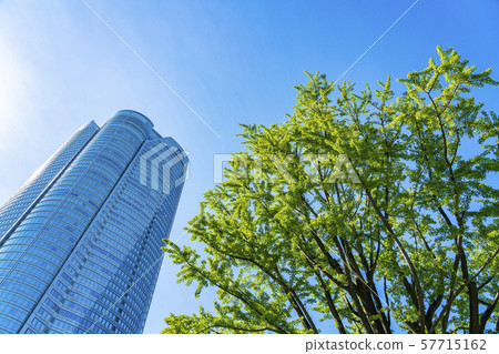 [東京]六本木新城 57715162