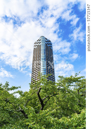 [Tokyo] Minato-ku Tower Mansion 57715347