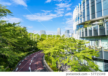 [Tokyo] Tokyo Midtown 57715349