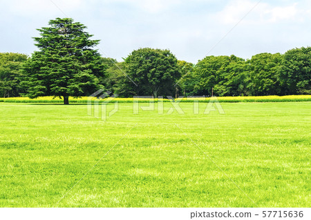 Landscape with green and blue sky Landscape with green and blue sky 57715636