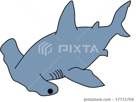 煙熏鯊魚 煙熏鯊魚 57715709