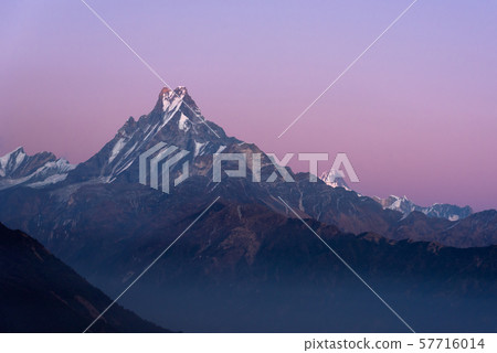 Fishtail peak or Machapuchare mountain during sunset Fishtail peak or Machapuchare mountain during sunset 57716014