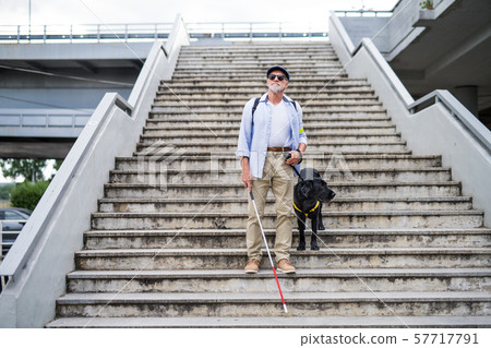 Senior blind man with guide dog walking down the stairs in city. Senior blind man with guide dog walking down the stairs in city. 57717791