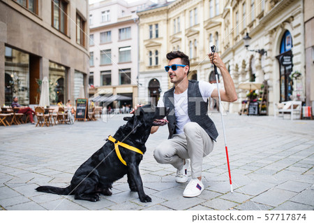 Young blind man with white cane and guide dog on pedestrain zone in city. 57717874