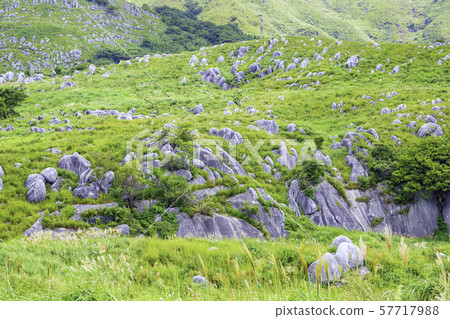 Beautiful scenery of Hiraodai 57717988