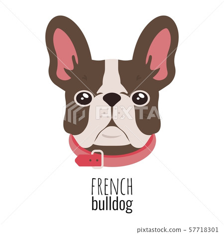 French bulldog face. Cute brown Frenchie with bunny ears. Vector French bulldog face. Cute brown Frenchie with bunny ears. Vector 57718301