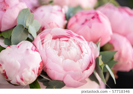 Close-up of flowers Pink peonies . Beautiful peony flower for catalog or online store. Floral shop Close-up of flowers Pink peonies . Beautiful peony flower for catalog or online store. Floral shop 57718346
