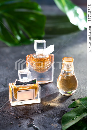 Women's perfume in beautiful bottle with green leaves on a black concrete background with bright Women's perfume in beautiful bottle with green leaves on a black concrete background with bright 57718748