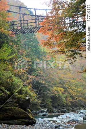 四國旅遊Kazura橋 57719171